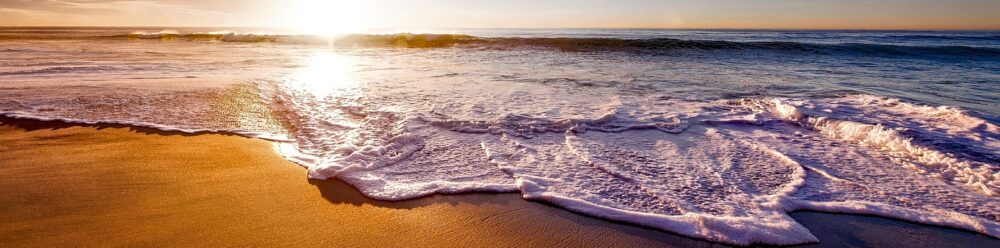 header-homepage-2-gotraveldaily