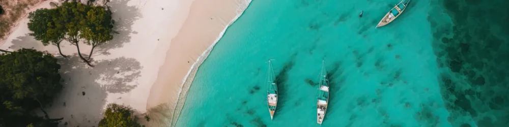 banner-homepage-gotraveldaily