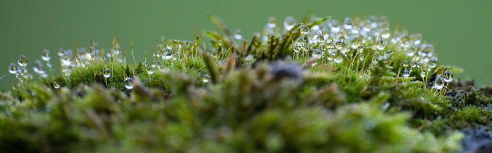 header-homepage-5-gotraveldaily